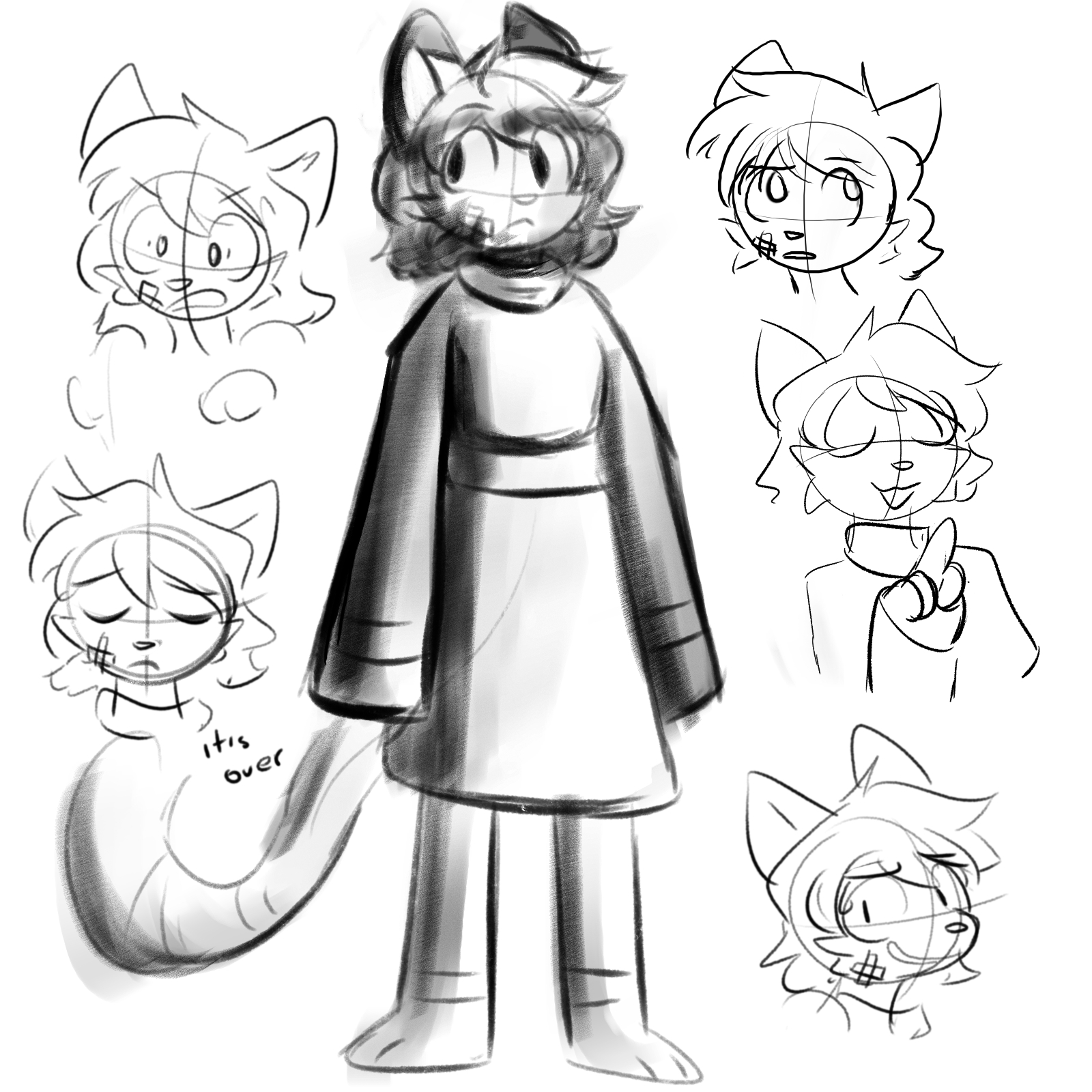 Various doodles, mostly headshots, of Meddy (cat) with various expressions