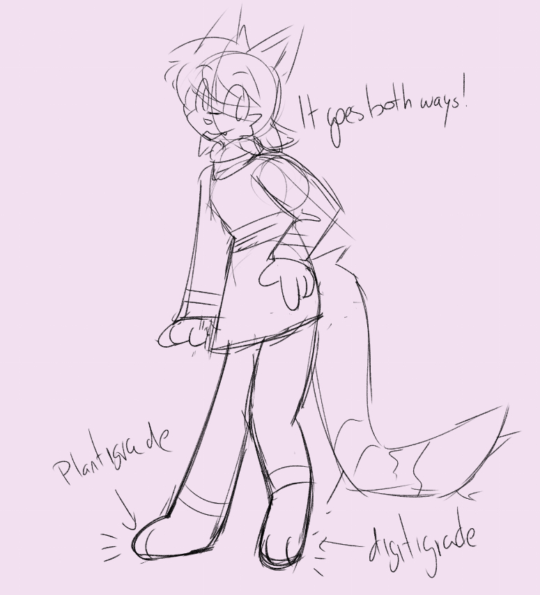 Meddy pointing at their footpaws while saying "It goes both ways!", because they're interchangeably plantigrade or digitigrade